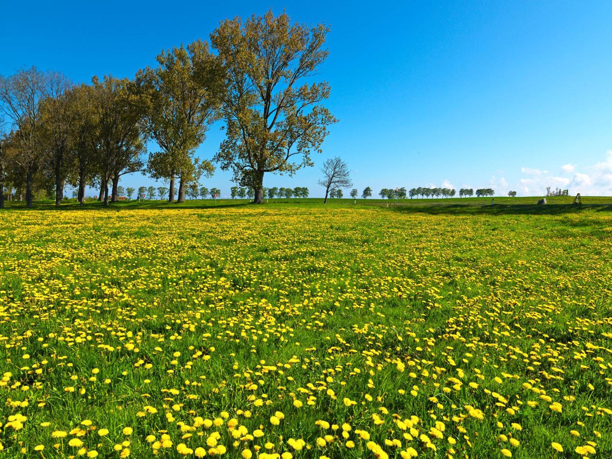 Haus Gestrandet Kaltenhof Esterno foto